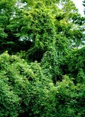 Cover: Christine and Irene Hohenbuchler - Galerie Martin Janda
