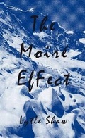 Cover: The Moire Effect - Lehni-Trueb, Alex Trub