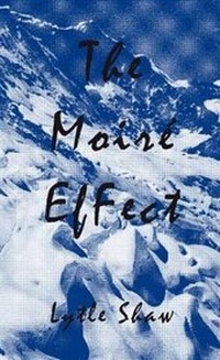 Enlarge image Cover: The Moire Effect - Lehni-Trueb, Alex Trub