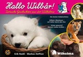 Cover: Hallo Wilb&auml;r - Neuer Sportverlag / Neuer Kunstverlag