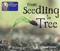 Cover: Primary Years Programme Level 2 From Seedling to tree 6Pack - Heinemann