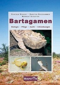 Abbildung von: Bartagamen - HERPETON