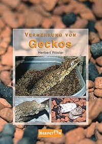 Abbildung von: Vermehrung von Geckos - HERPETON
