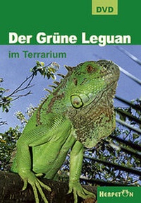 Abbildung von: Der Grüne Leguan im Terrarium - HERPETON