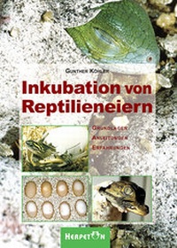 Abbildung von: Inkubation von Reptilieneiern - HERPETON