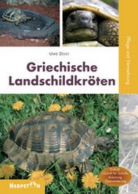 Abbildung von: Griechische Landschildkröten - HERPETON
