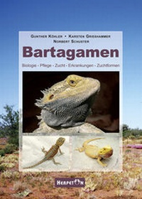Abbildung von: Bartagamen - HERPETON