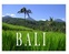 Abbildung: "Bali - Ein Bildband"