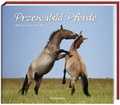 Cover: Przewalski Pferde - Tecklenborg, B