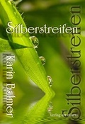 Cover: Silberstreifen - Verlag Art of Arts