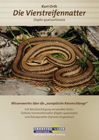 Abbildung von: Die Vierstreifennatter Elaphe quatuorlineata - Kleintierverlag