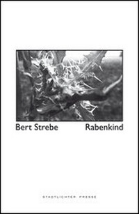 Enlarge image Cover: Rabenkind - Stadtlichter Presse