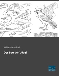 Abbildung von: Der Bau der Vögel - Fachbuchverlag-Dresden