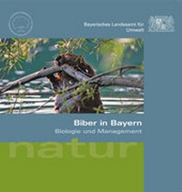 Abbildung von: Biber in Bayern - Bayerisches Landesamt für Umwelt