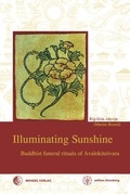 Cover: Illuminating Sunshine - Wandel edition khordong
