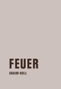 Cover: Feuer - Verbrecher