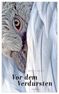Enlarge image Cover: Vor dem Verdursten - litradukt Literatureditionen