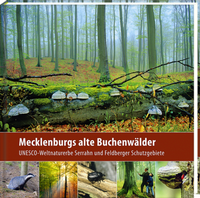 Abbildung von: Mecklenburgs alte Buchenwälder - Steffen Verlag
