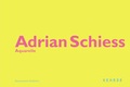 Cover: Adrian Schiess - Aquarelle - Kehrer Verlag