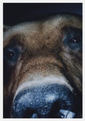 Cover: Ulrike Biets - POGO BOOKS