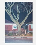 Cover: At Night - POGO BOOKS