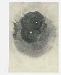 Cover: Noise - POGO BOOKS