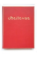 Cover: BELLEVUE (Prachtausgabe in Ganzleder mit Goldpr&auml;gung und Vollgoldschnitt; bitte auch Sonderedition beachten) - Finckenstein & Salmuth