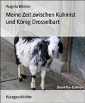 Cover: Meine Zeit zwischen Kuhmist und K&ouml;nig Drosselbart - BookRix