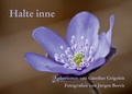 Cover: Halte inne - Mitzkat, J&ouml;rg