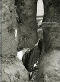 Cover: Markus L&uuml;pertz - Daphne - Stiftung Museum Schlo&szlig; Moyland