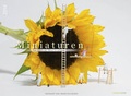 Cover: Miniaturen 2014 - WeitSicht Edition