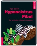 Cover: Hypancistrus-Fibel - D&auml;hne Verlag