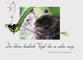 Cover: Der kleine h&auml;ssliche Vogel der so sch&ouml;n sang - Geistkirch-Verlag