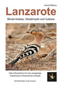 Abbildung von: Lanzarote - Blinde Krebse, Wiedehopfe und Vulkane - NATURALANZA