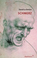Cover: Schmerz - Diaphanes