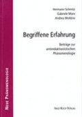 Cover: Begriffene Erfahrung - Ingo Koch Verlag