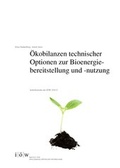 Cover: &Ouml;kobilanzen technischer Optionen zur Bioenergiebereitstellung und -nutzung - Institut f&uuml;r &ouml;kologische Wirtschaftsforschung Berlin