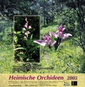 Cover: Heimische Orchideen II (2005) - EchinoMedia