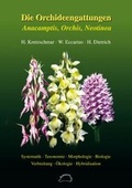 Cover: Die Orchideengattungen Anacamptis, Orchis, Neotinea - EchinoMedia