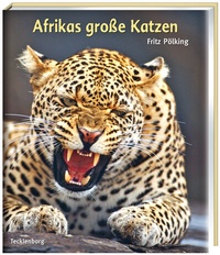 Abbildung von: Afrikas große Katzen - Tecklenborg, B