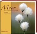 Cover: Moor - Tecklenborg, B