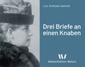 Cover: Drei Briefe an einen Knaben - Welsch, Ursula
