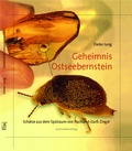 Cover: Geheimnis Ostseebernstein - Klatschmohn