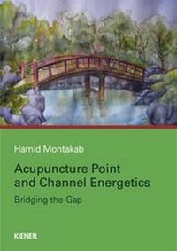 Abbildung von: Acupuncture Point and Channel Energetics - KIENER Verlag