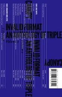 Enlarge image Cover: Invalid Format - an Anthology of Triple Canopy, Vol. 2 - Sternberg Press