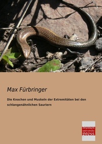 Abbildung von: Die Knochen Und Muskeln Der Extremitaten Bei Den Schlangenahnlichen Sauriern - Bremen University Press