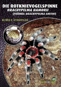 Abbildung von: Die Rotknievogelspinne - Natur und Tier