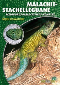 Abbildung von: Malachit-Stachelleguane - Natur und Tier