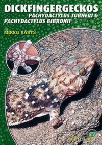 Abbildung von: Dickfingergeckos - Natur und Tier