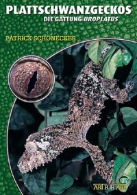 Abbildung von: Plattschwanzgeckos - Natur und Tier